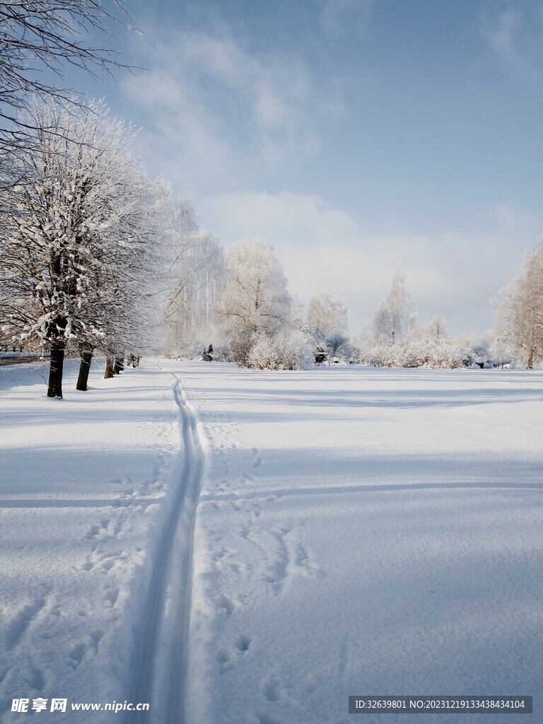 雪景