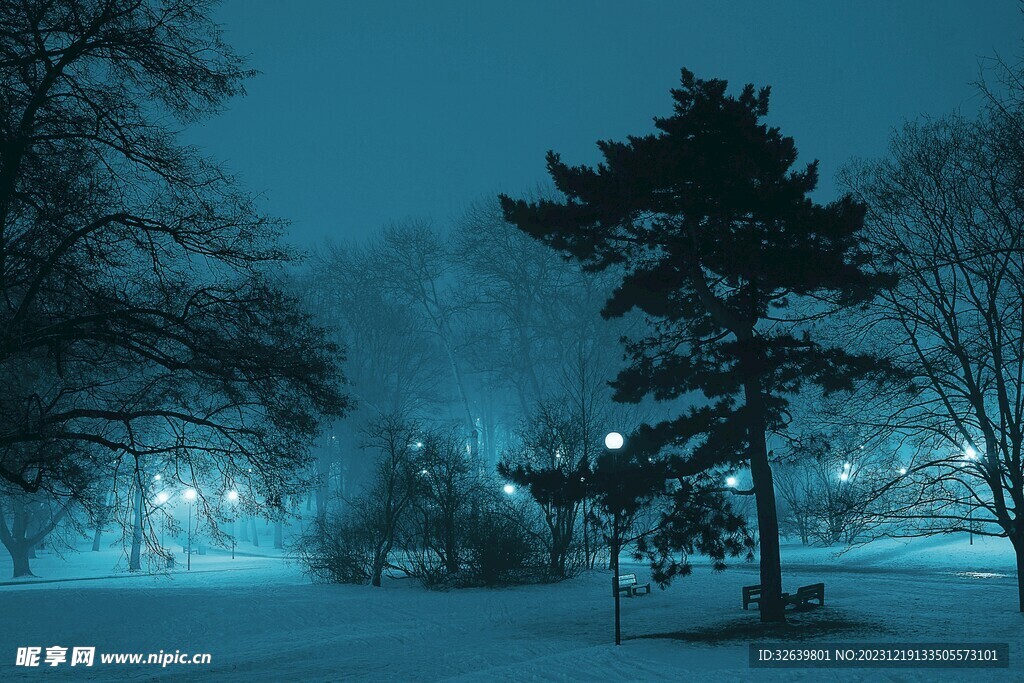 雪中夜色