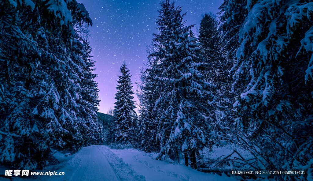 雪松