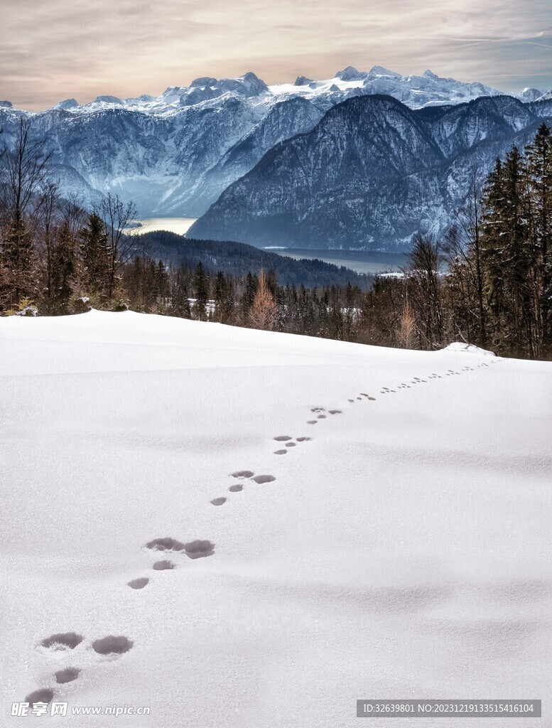 雪山