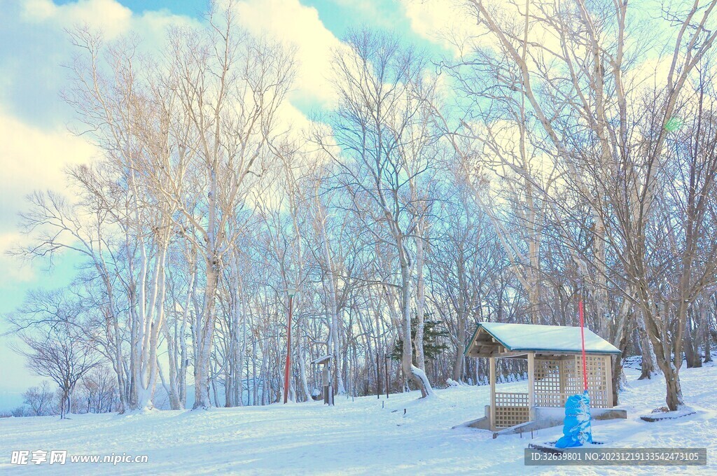 雪景 