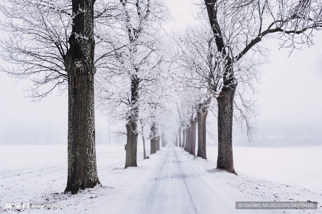 雪中小路
