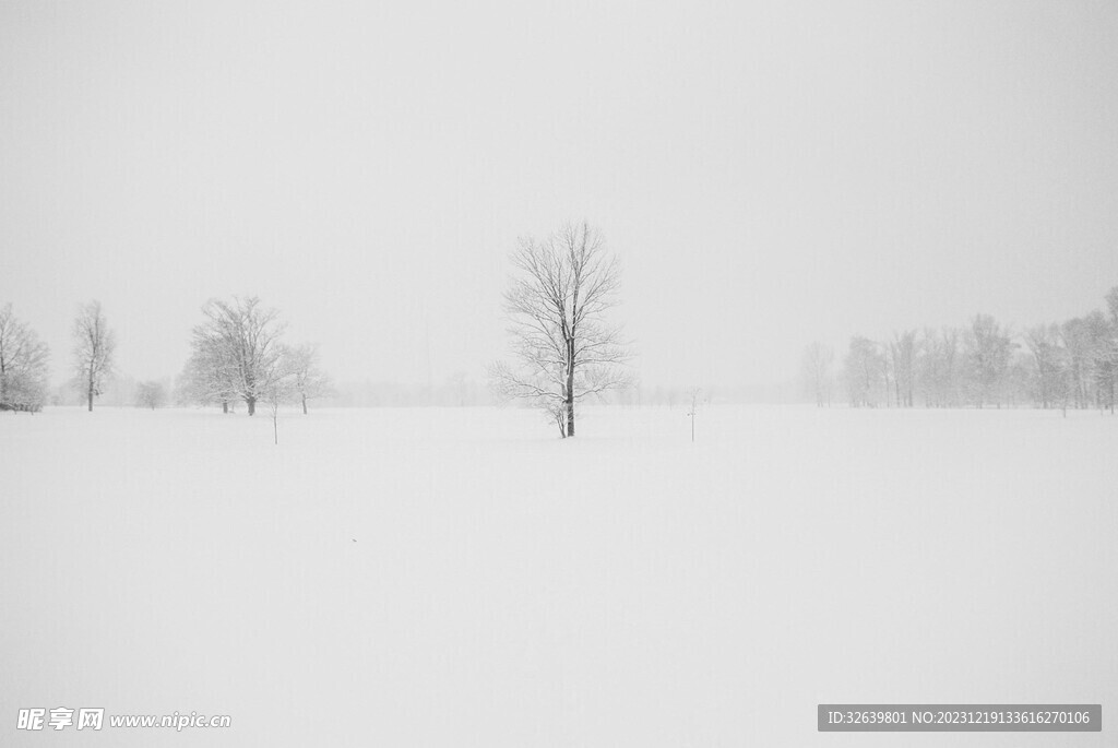 漫天大雪