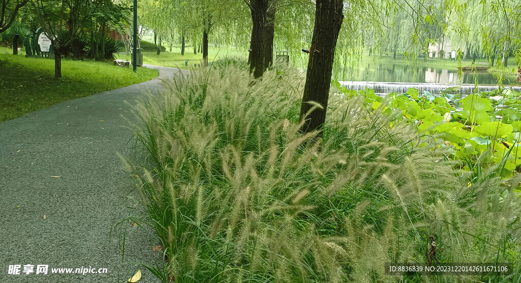 绿色园林