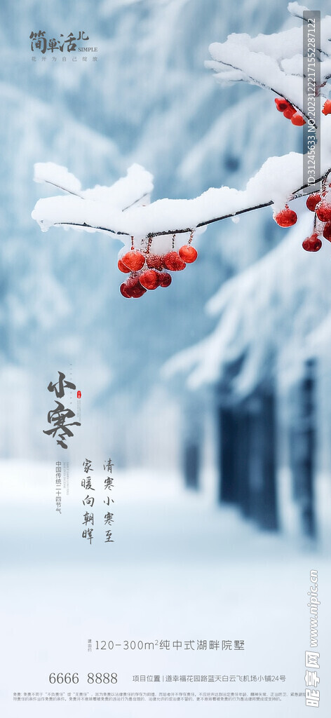 地产小寒大寒海报