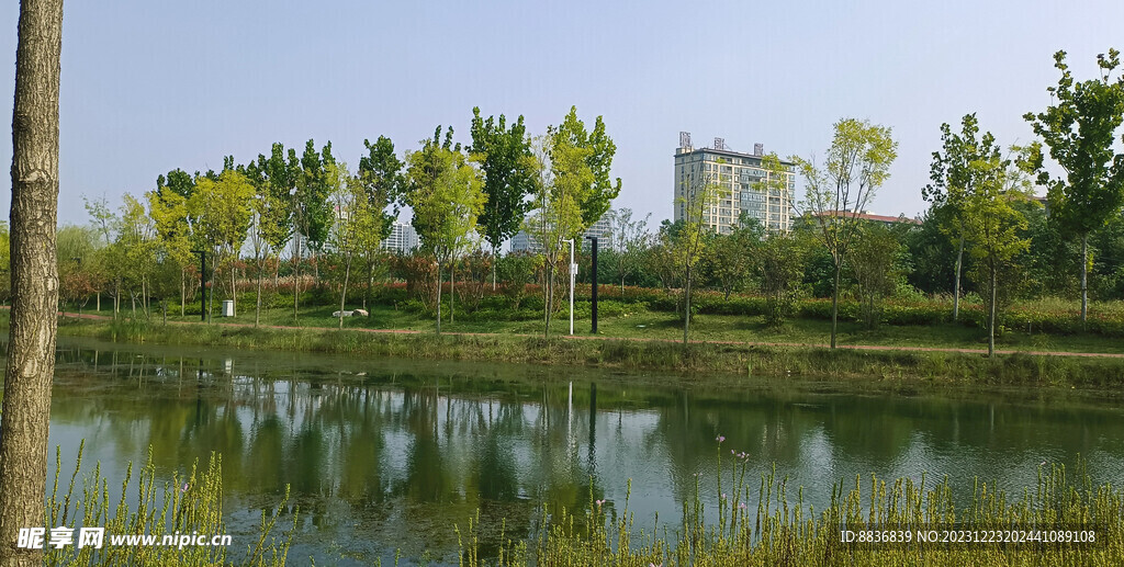 湖边美景