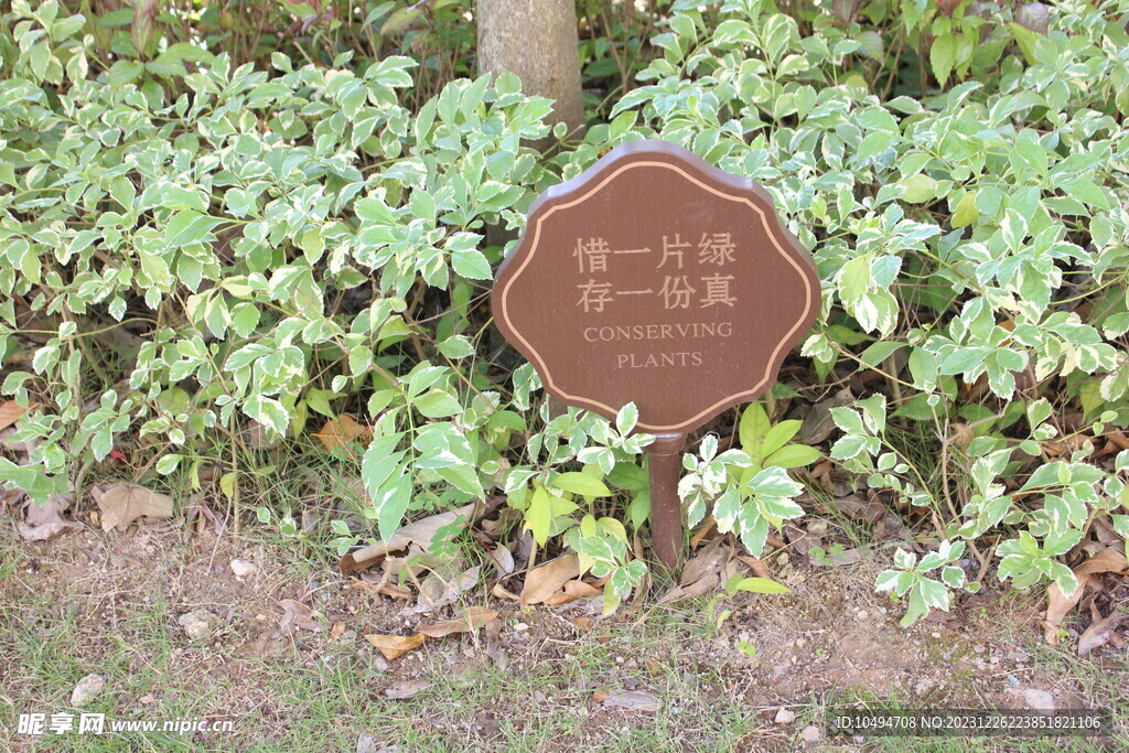绿化带