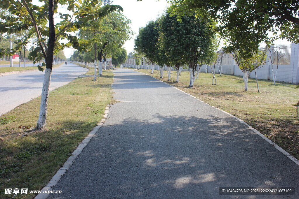 林间小路