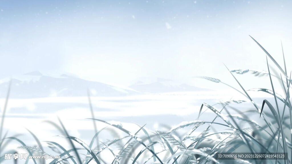 冬天麦穗雪花飞舞