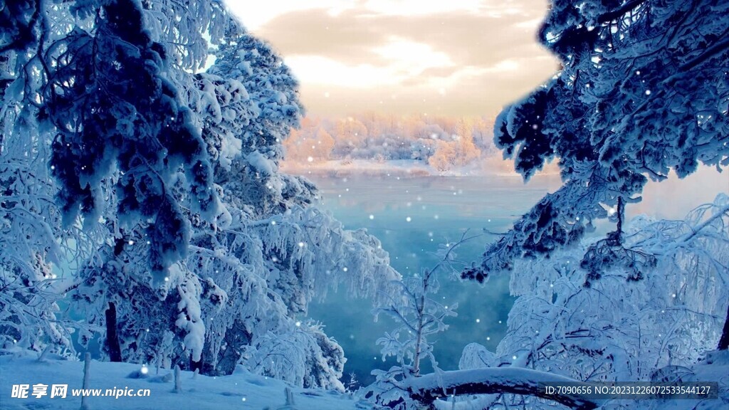 唯美浪漫雪景雪花飘落雪松婚礼