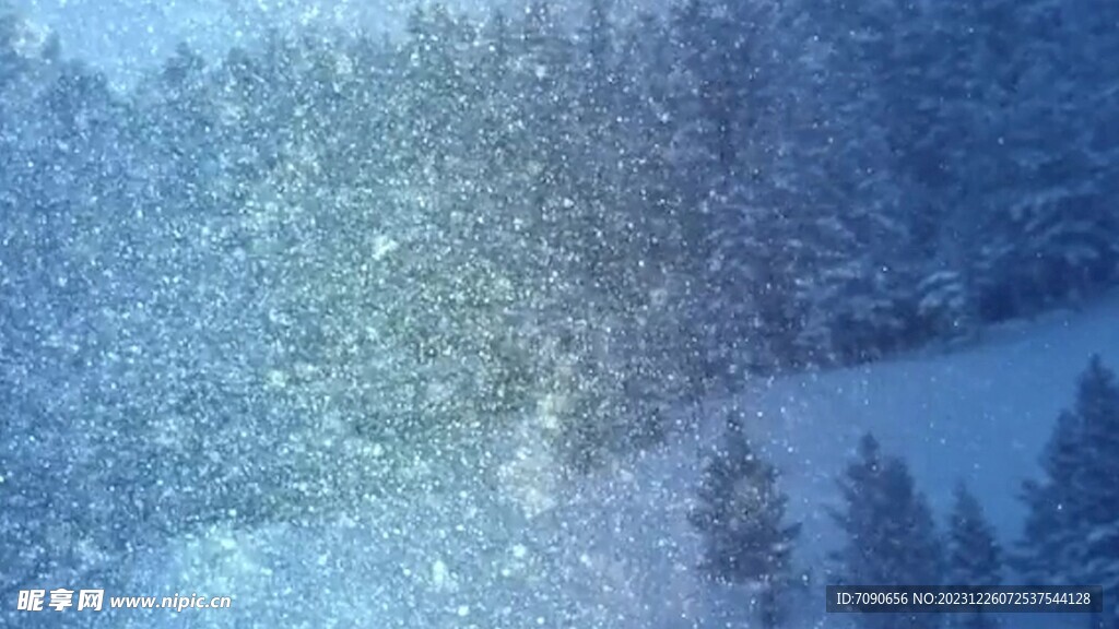 下雪粒子松树