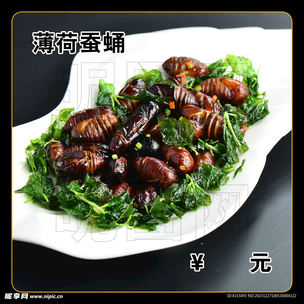 薄荷蚕蛹