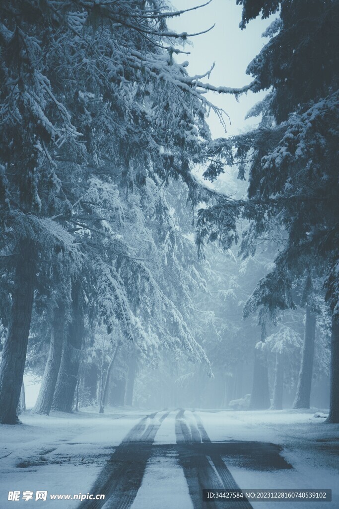 雪中林中道路