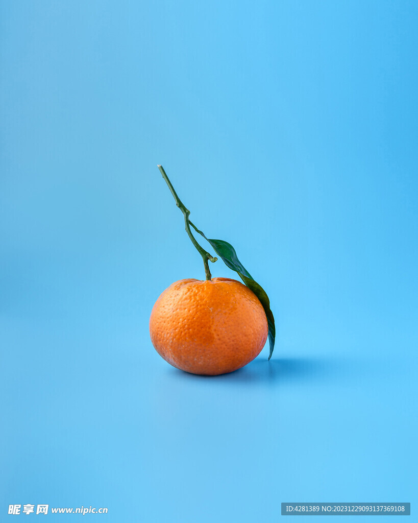 橘子