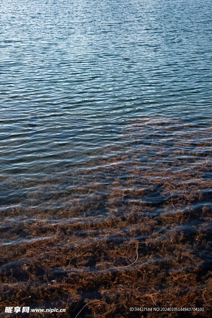 海水波纹