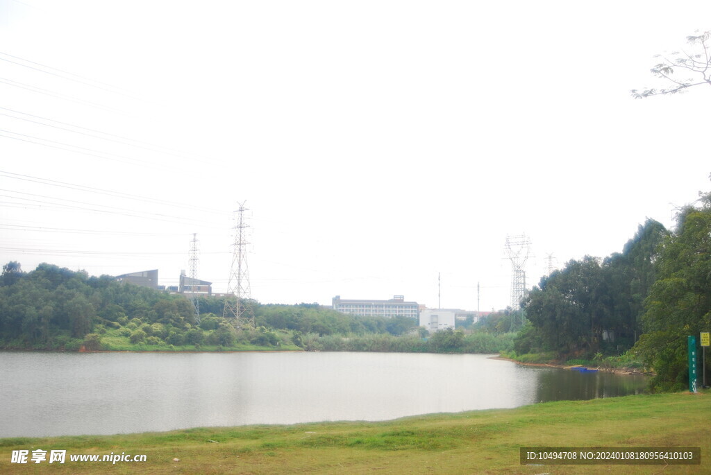 郊野草地