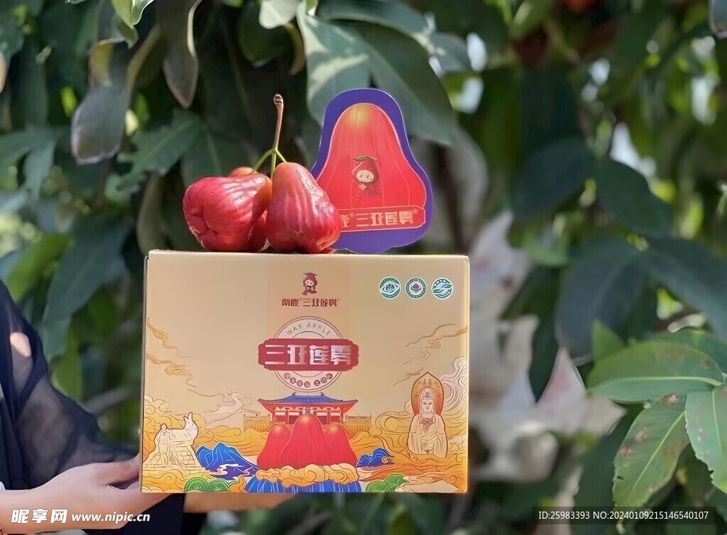莲雾