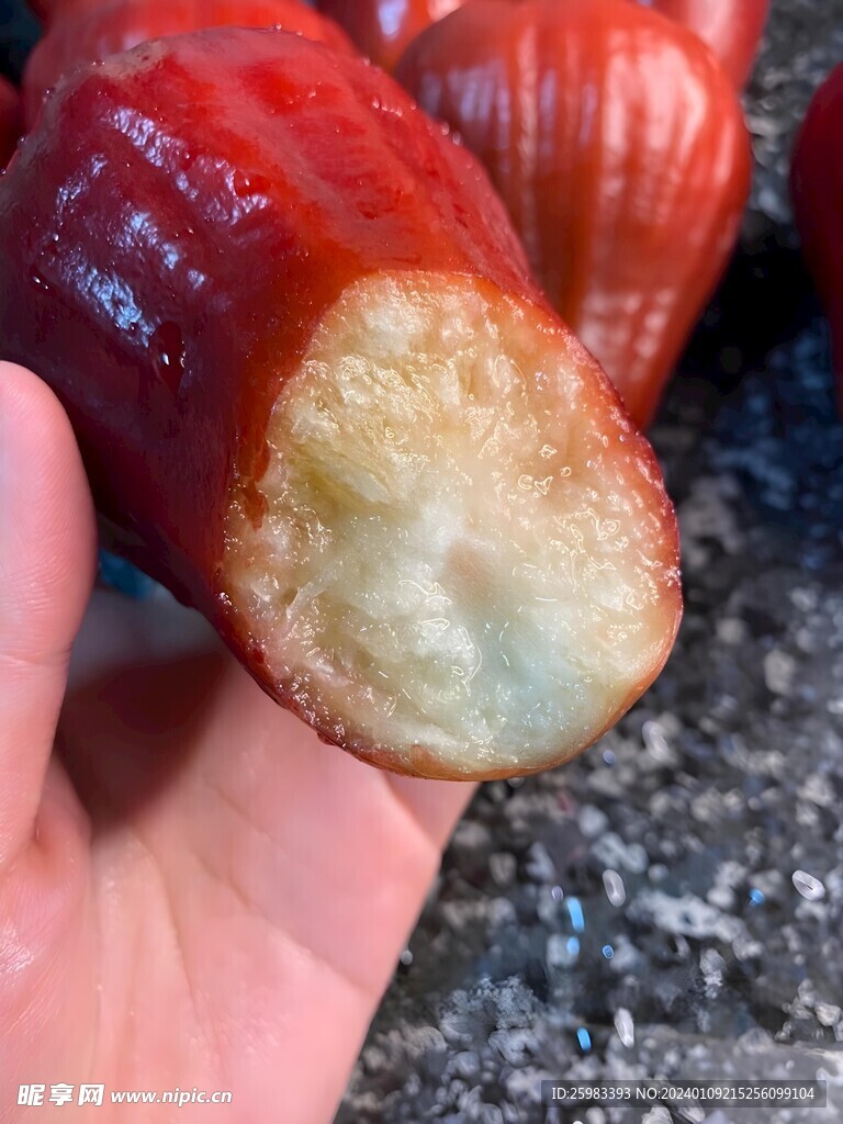 莲雾