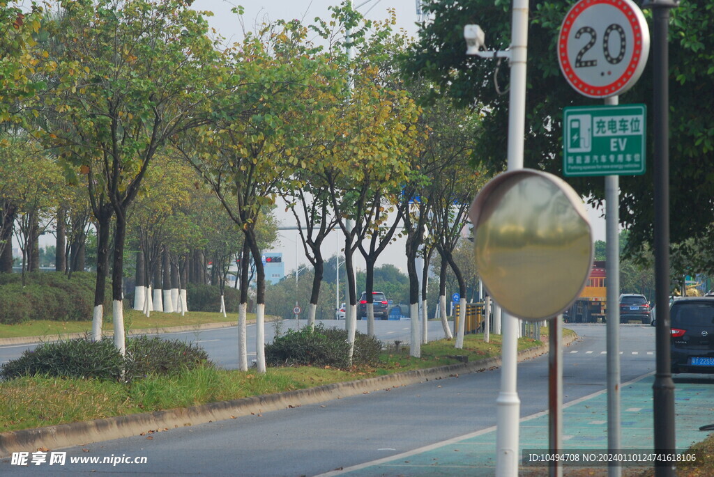 城市道路