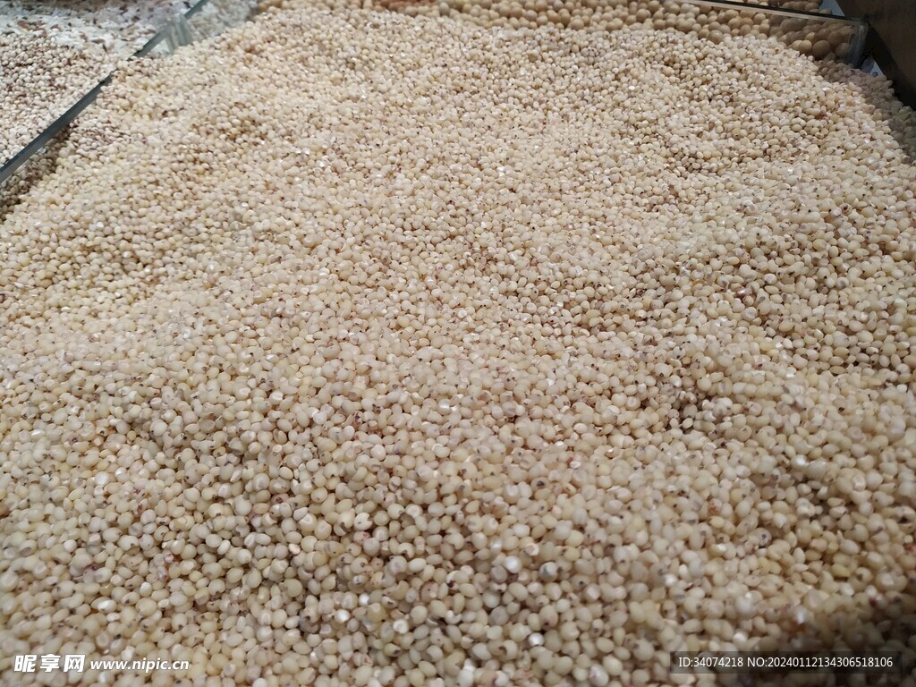 高粱米