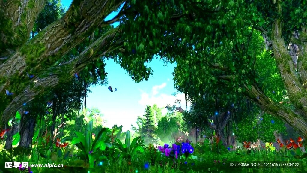 森林自然美景     