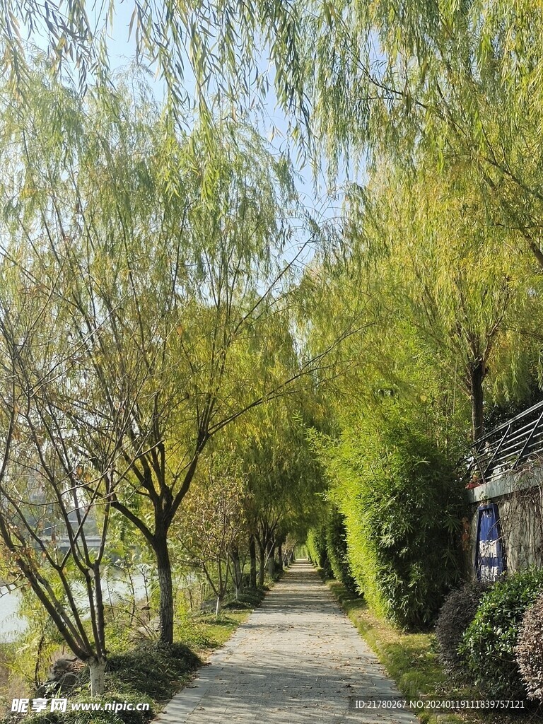 休闲绿化