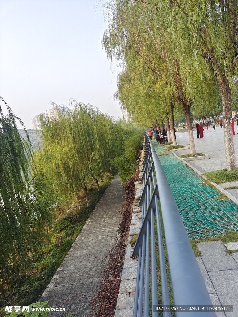 公园风景