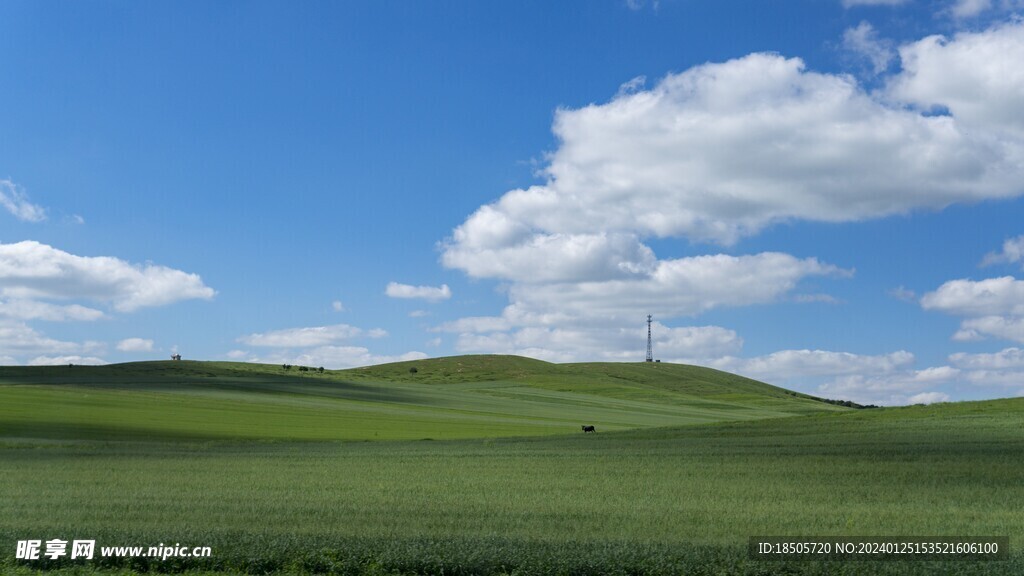 蓝天白云绿草地