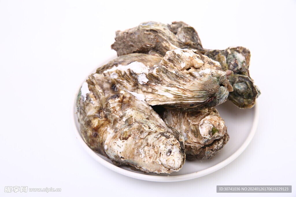 生蚝主图
