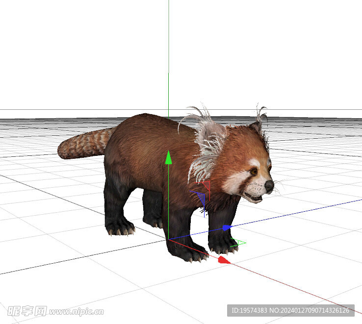 C4D模型 小浣熊