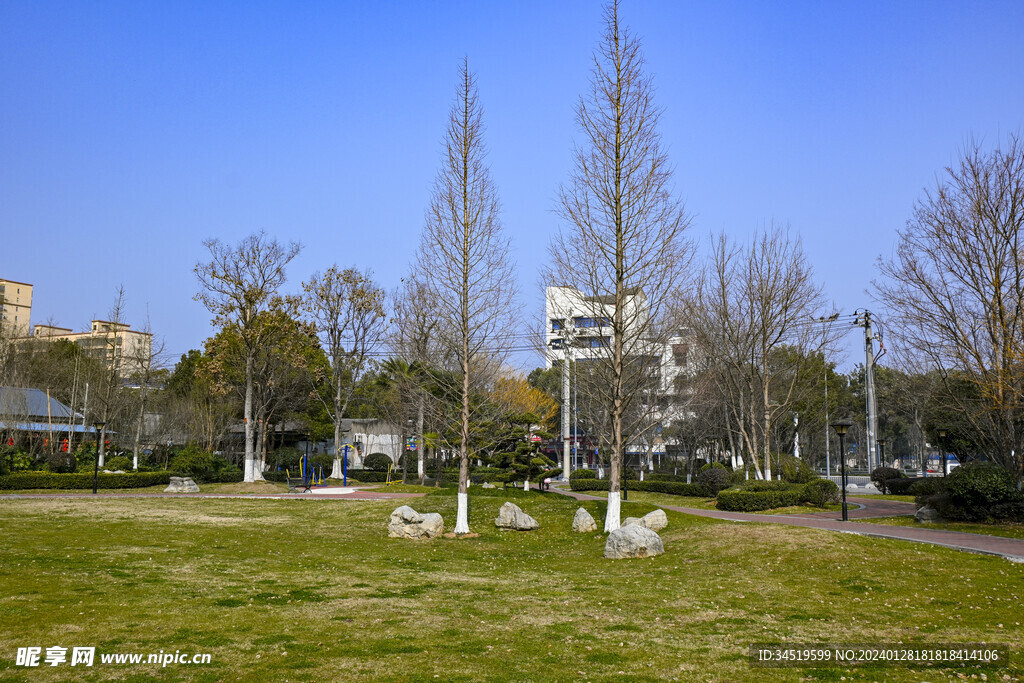 公园蓝天绿树