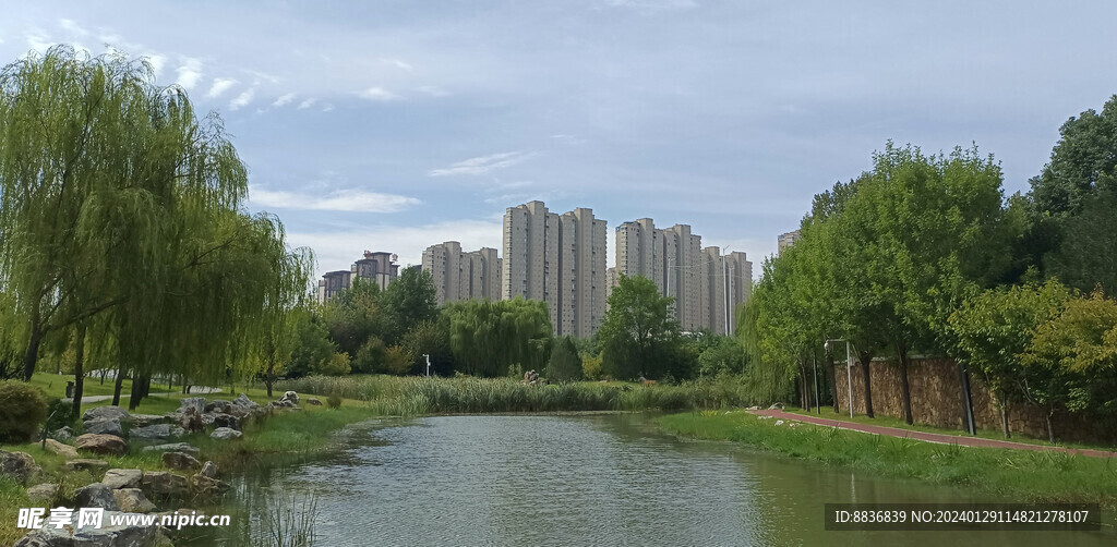 园林风景