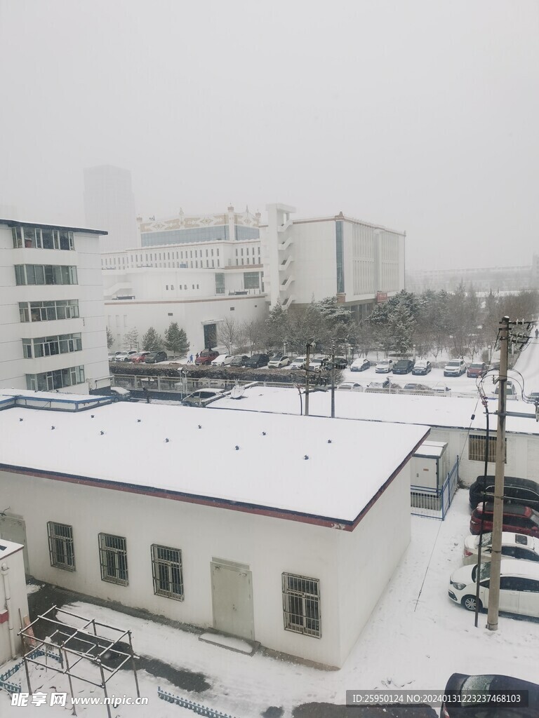 雪景