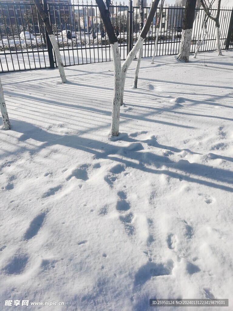 雪景