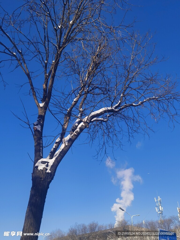  雪景