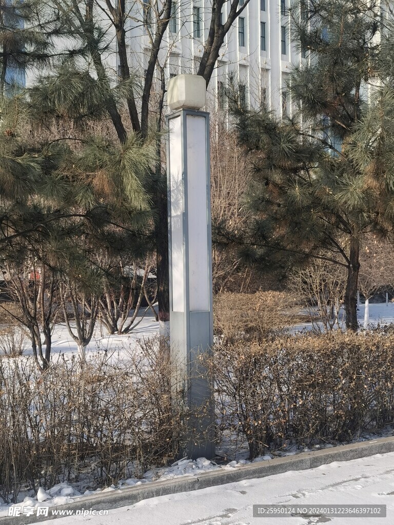  雪景