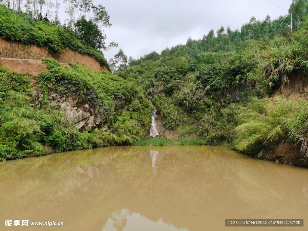 森林风景