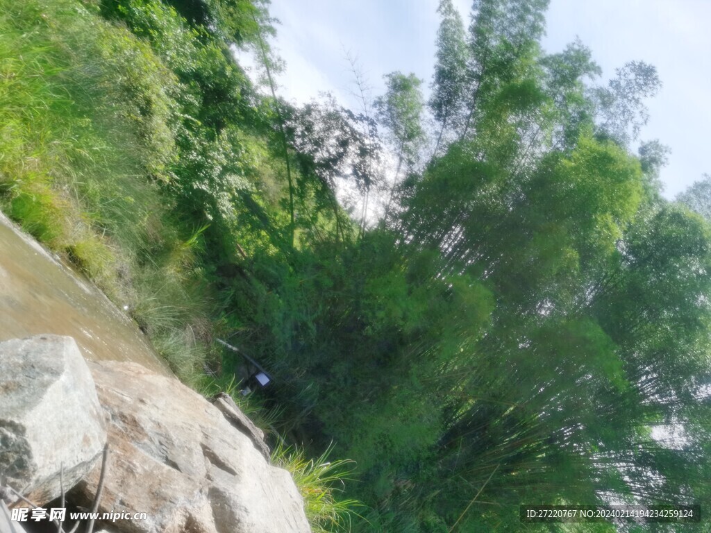 竹林