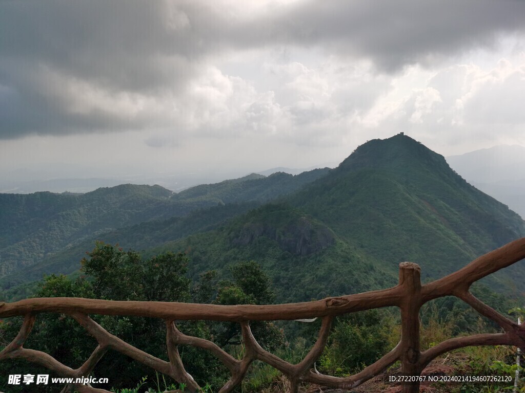 高山风景  森林