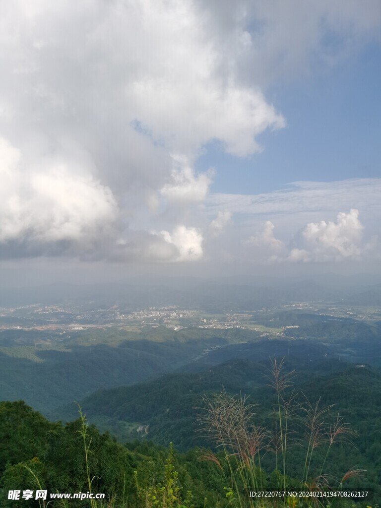 绿色森林 蓝天白云