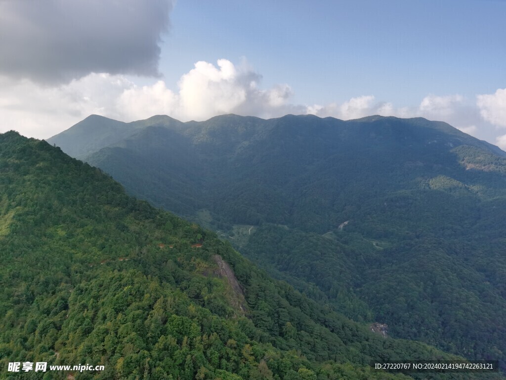 山地森林风光