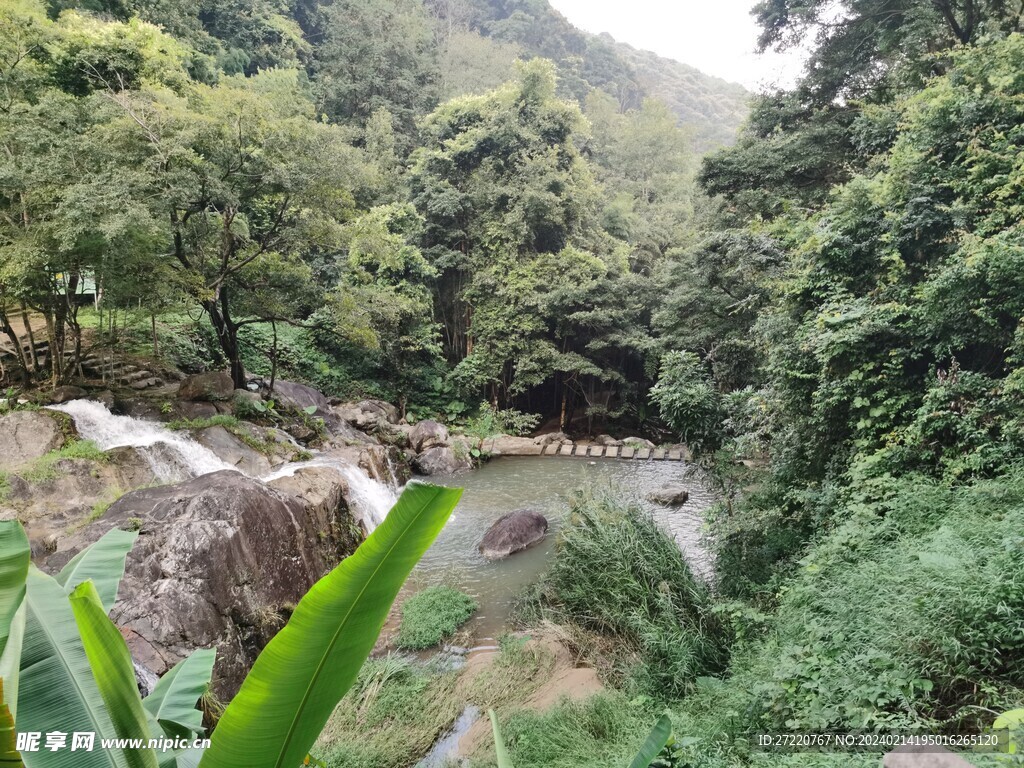 瀑布 溪流 天然 森林