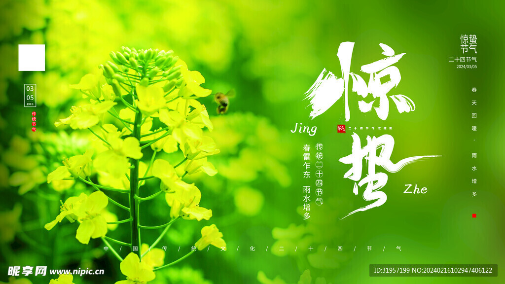 惊蛰背景