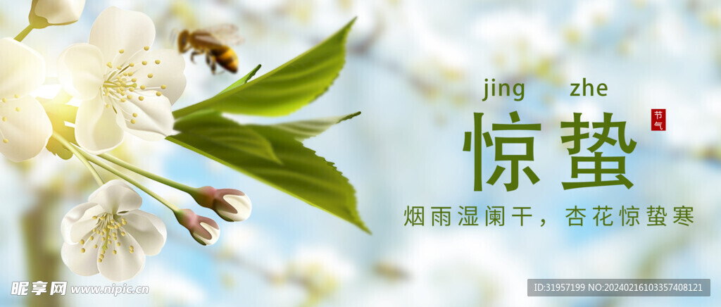 二十四节气惊蛰