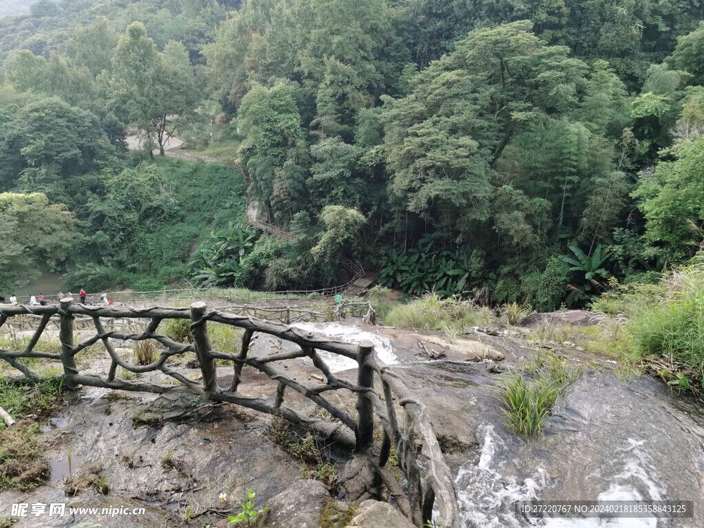 竹林风光 瀑布景色