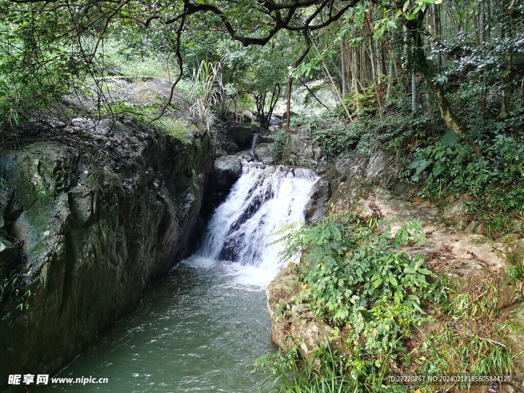 森林河流