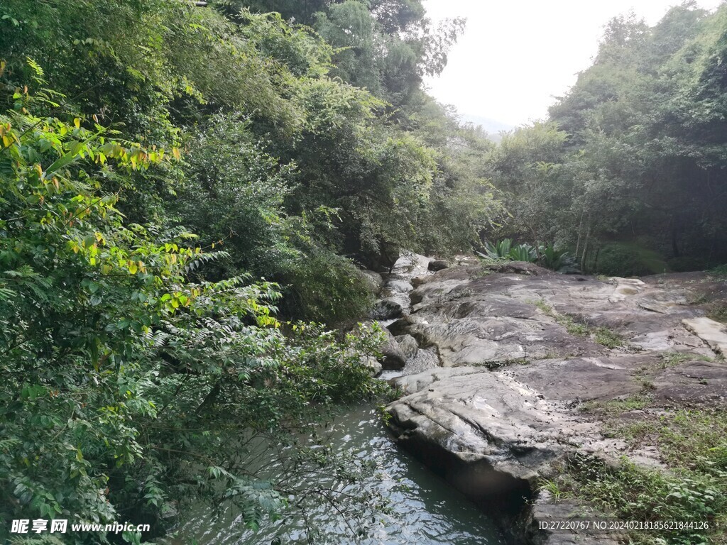 山水风光 森林景色