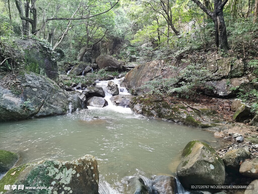 森林  溪流