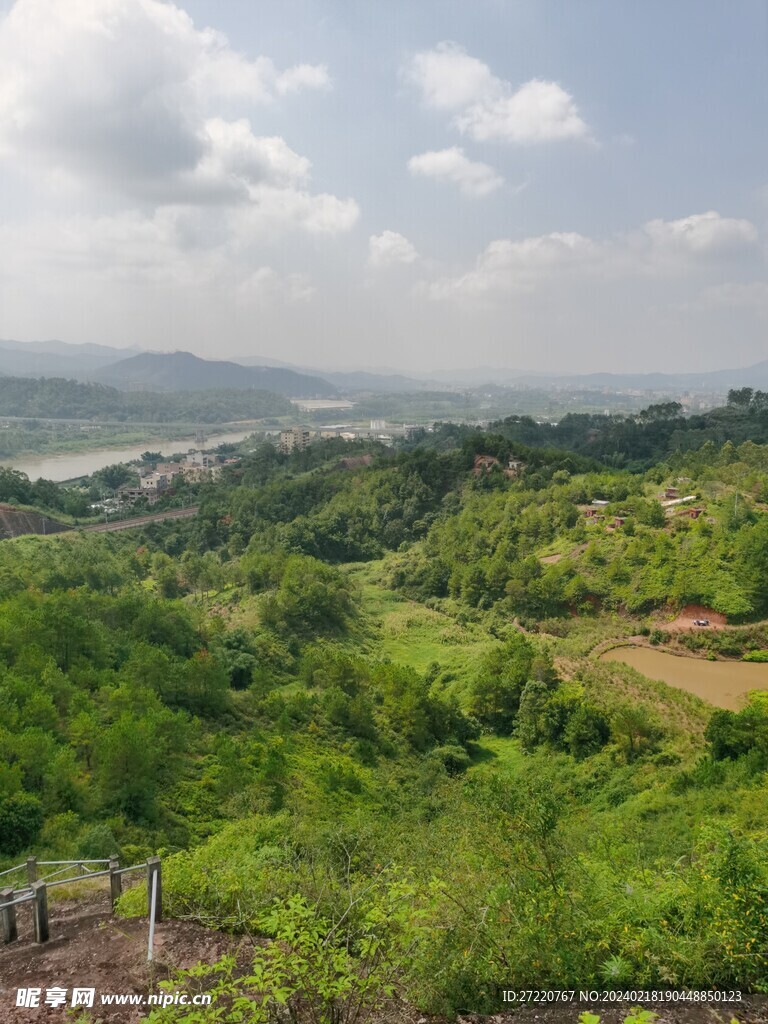 山丘 树林