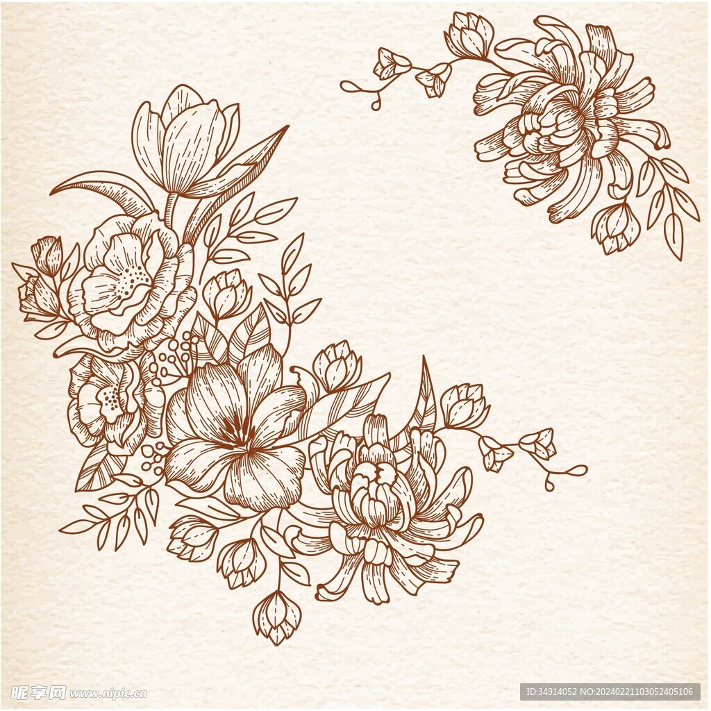 矢量唯美花卉花框